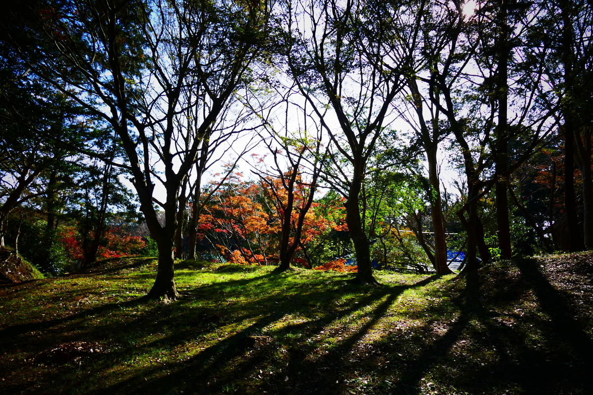 f:id:SagamiToshio:20220408194638j:plain