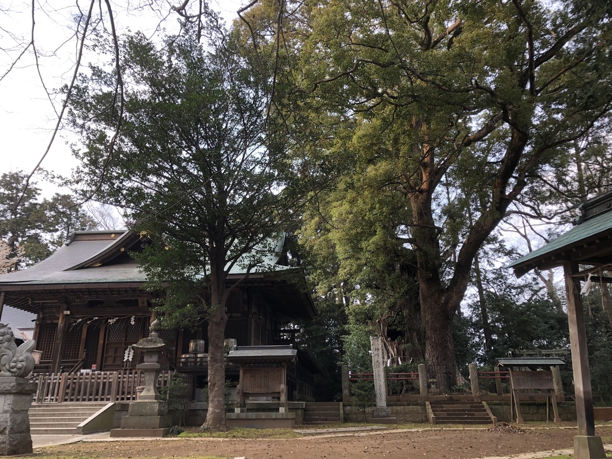 f:id:SagamiToshio:20220409013628j:plain