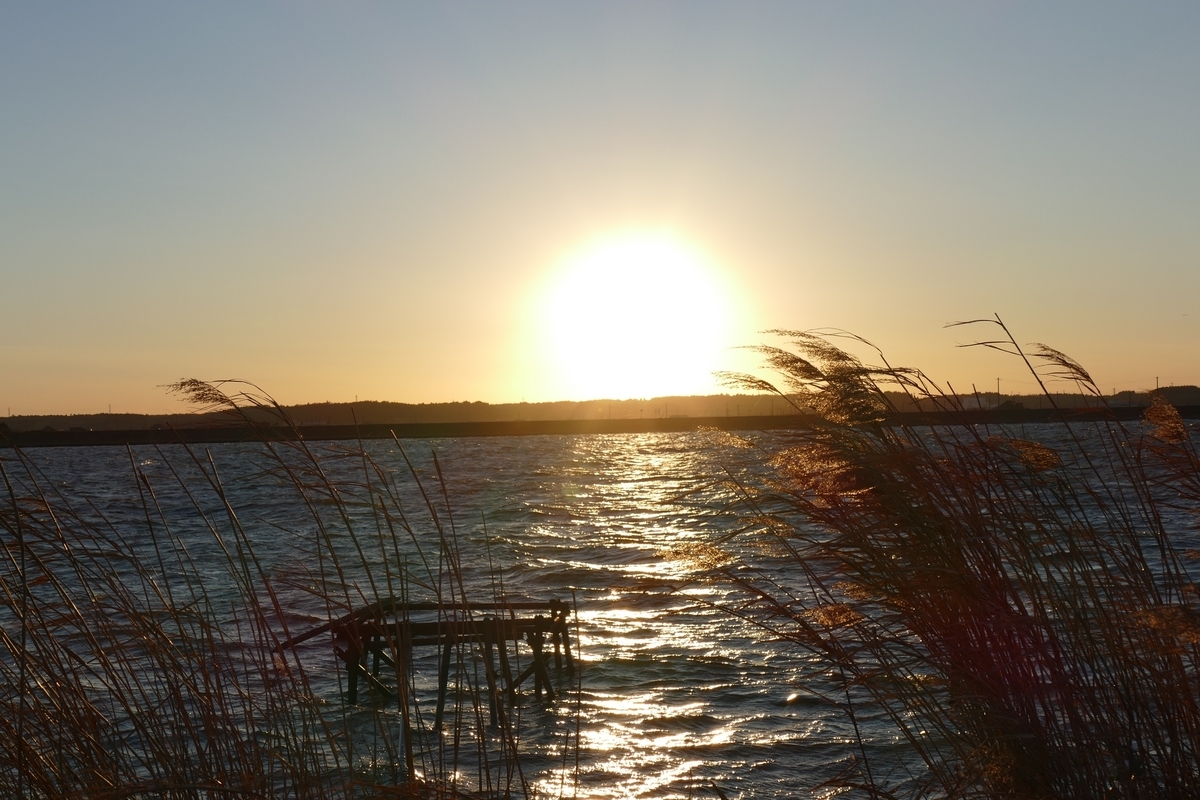 f:id:SagamiToshio:20220409194615j:plain