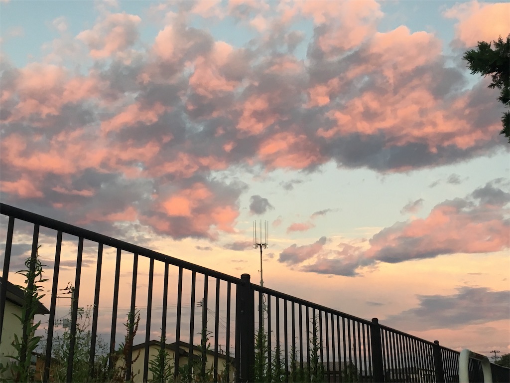 f:id:Saiko_R_F:20191203100201j:image f:id:Saiko_R_F:20191203100201j:image