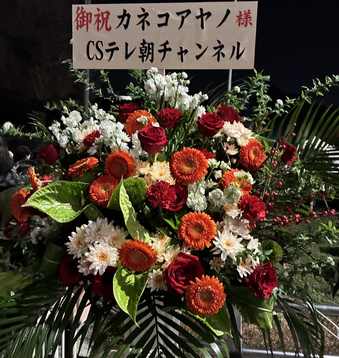 Kanekoayano（カネコアヤノ）「日本武道館 ワンマンショー 2026」@日本
