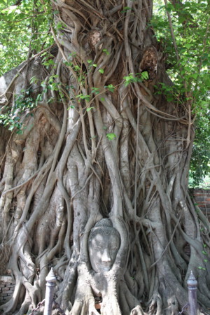 f:id:Saisai:20110505115907j:image:w360 f:id:Saisai:20110505115907j:image:w360