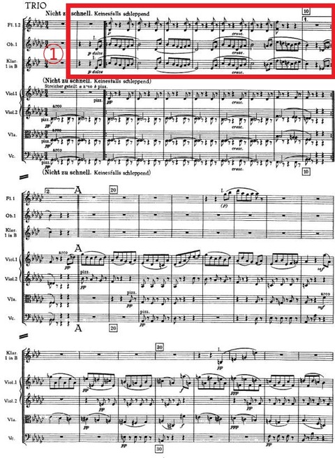 Bruckner Symphony No.4 Mvt.3 Trio Haas 1944-1