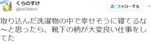 f:id:Saitoh:20170606091714p:plain f:id:Saitoh:20170606091714p:plain