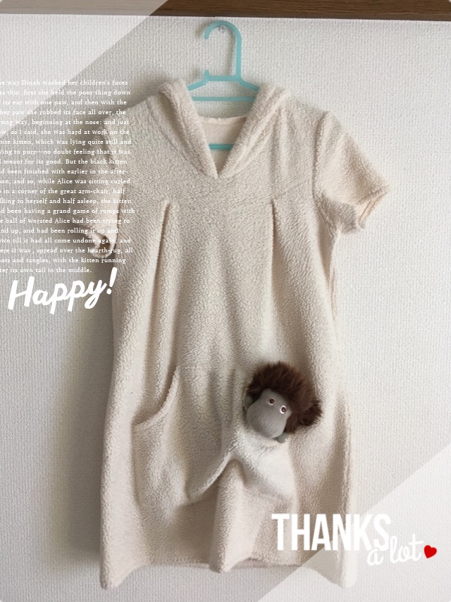 f:id:Sakananokimochi:20170224072135j:plain f:id:Sakananokimochi:20170224072135j:plain