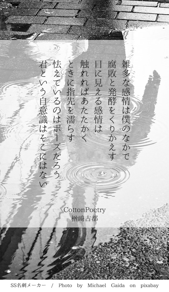 f:id:Sakananokimochi:20180810115822p:plain