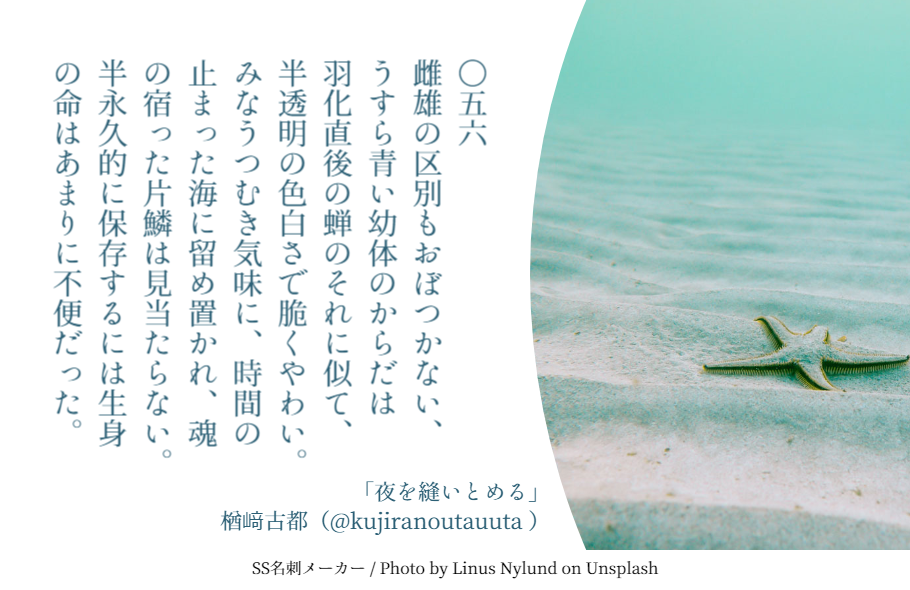 f:id:Sakananokimochi:20181003180651p:plain