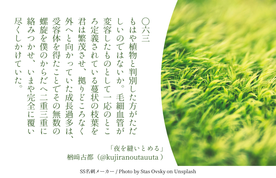 f:id:Sakananokimochi:20181103081813p:plain