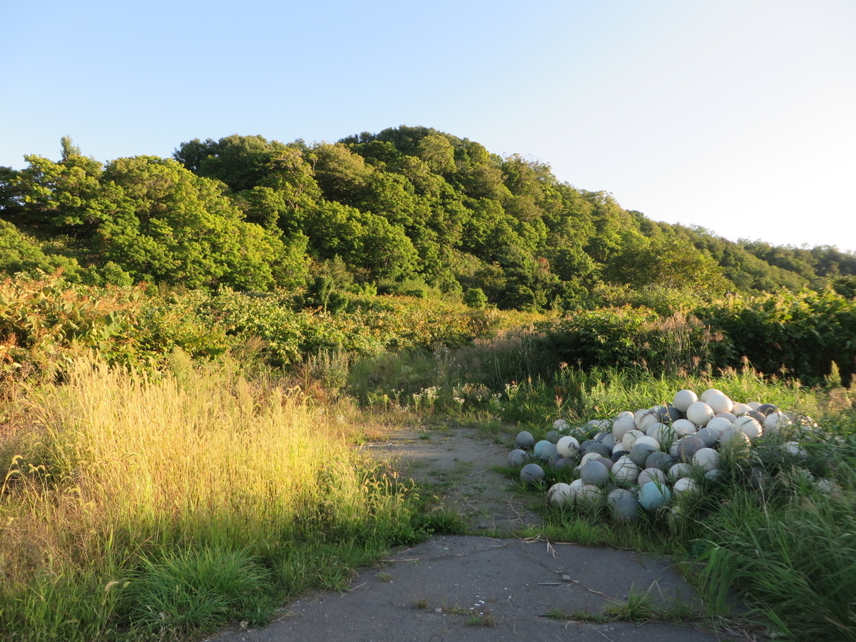 f:id:Sakasegawa3019:20191007081418j:plain