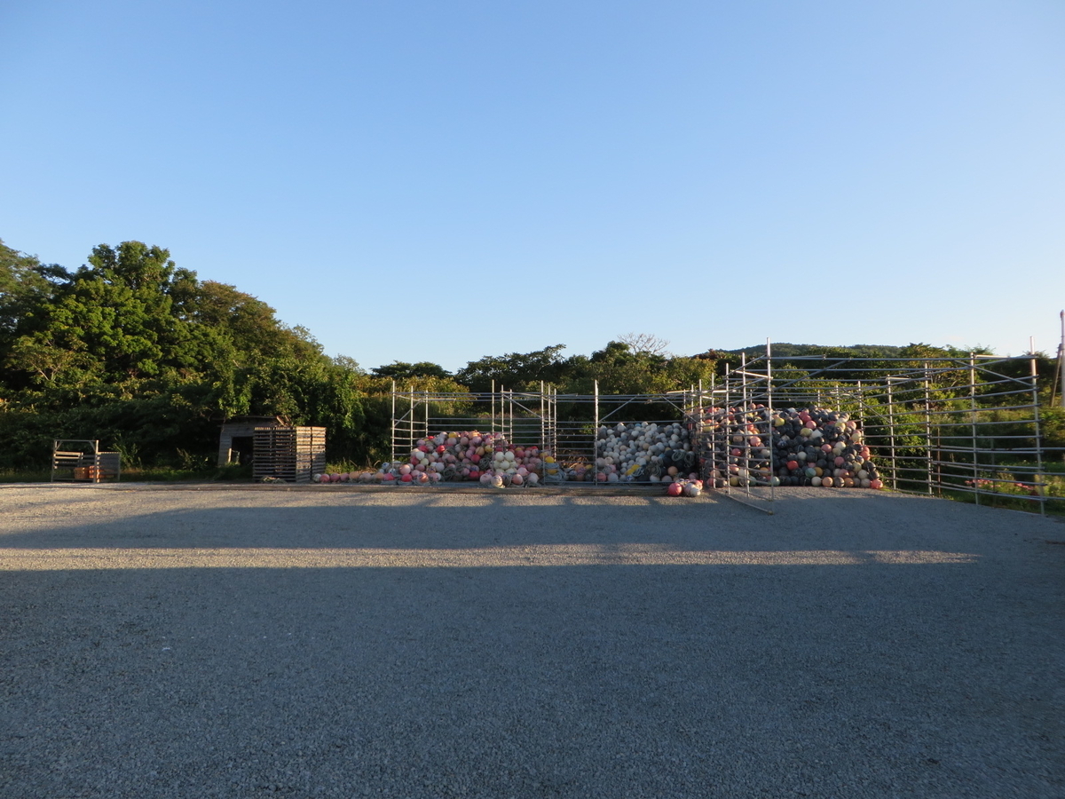 f:id:Sakasegawa3019:20191007082110j:plain