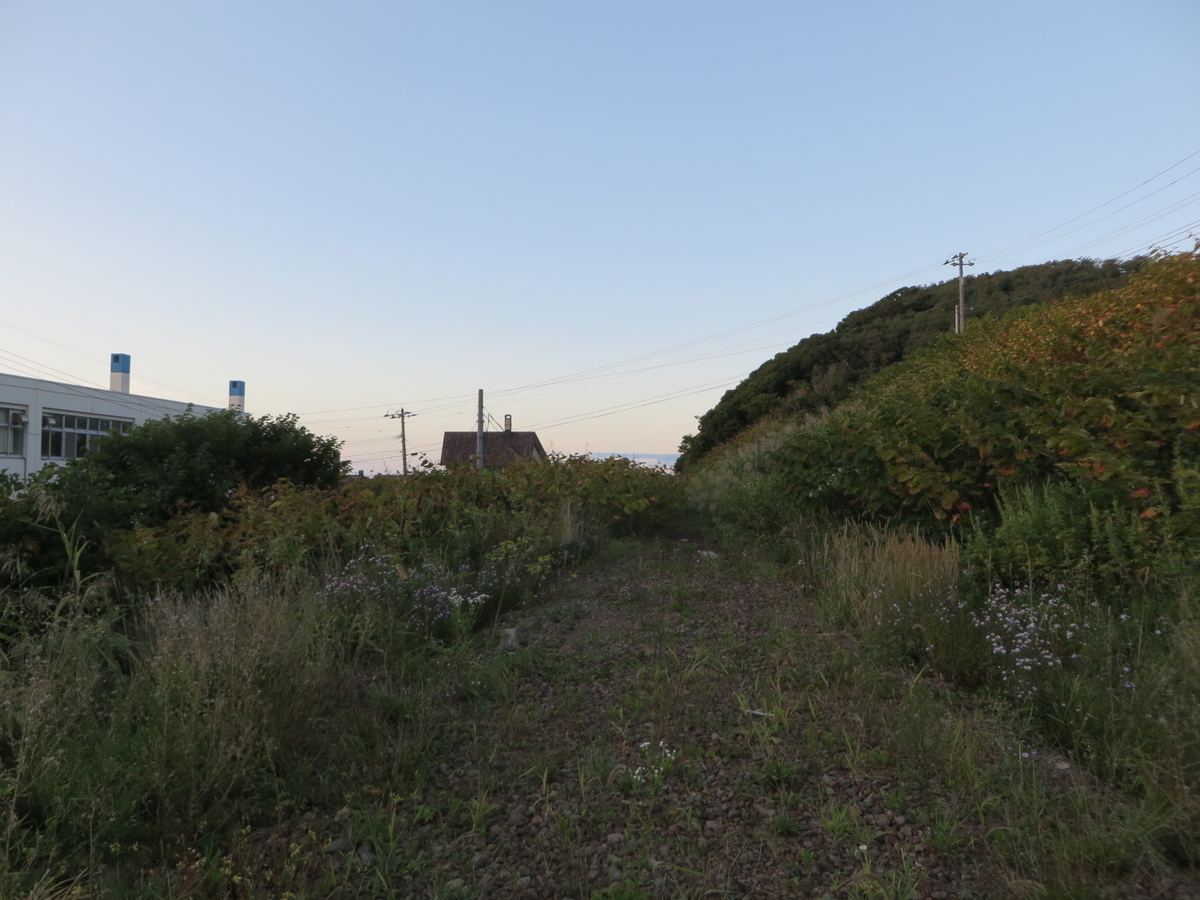 f:id:Sakasegawa3019:20191007084534j:plain