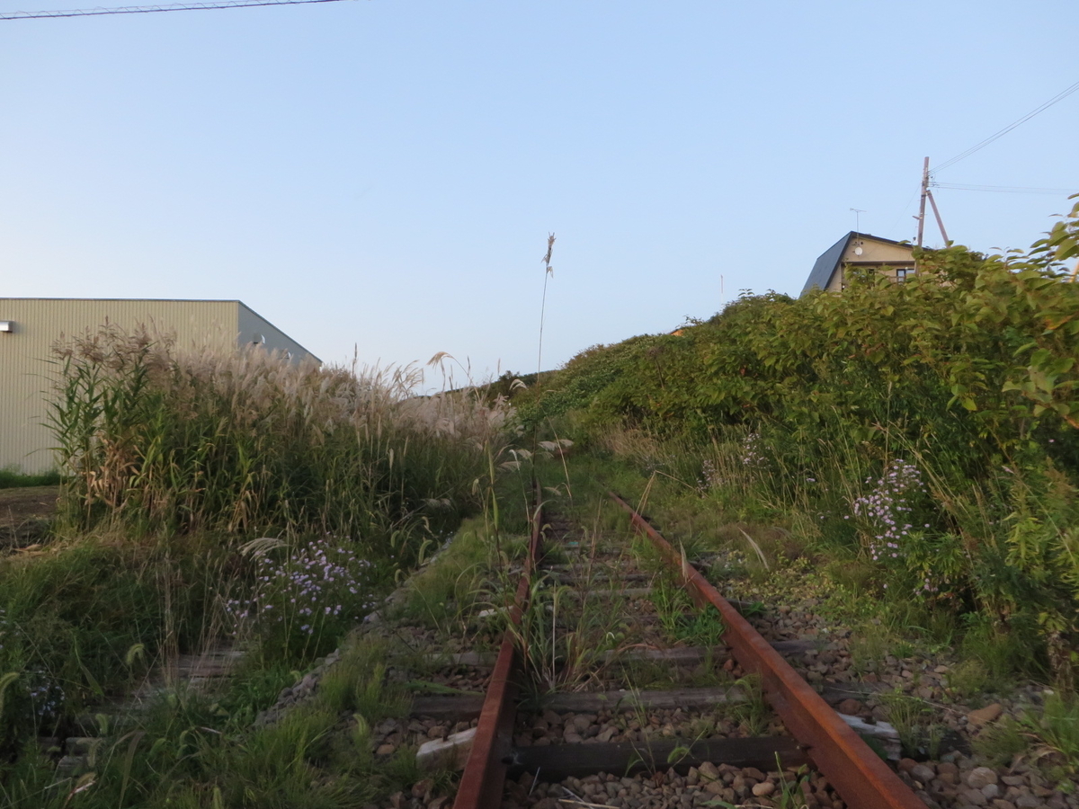 f:id:Sakasegawa3019:20191007090705j:plain