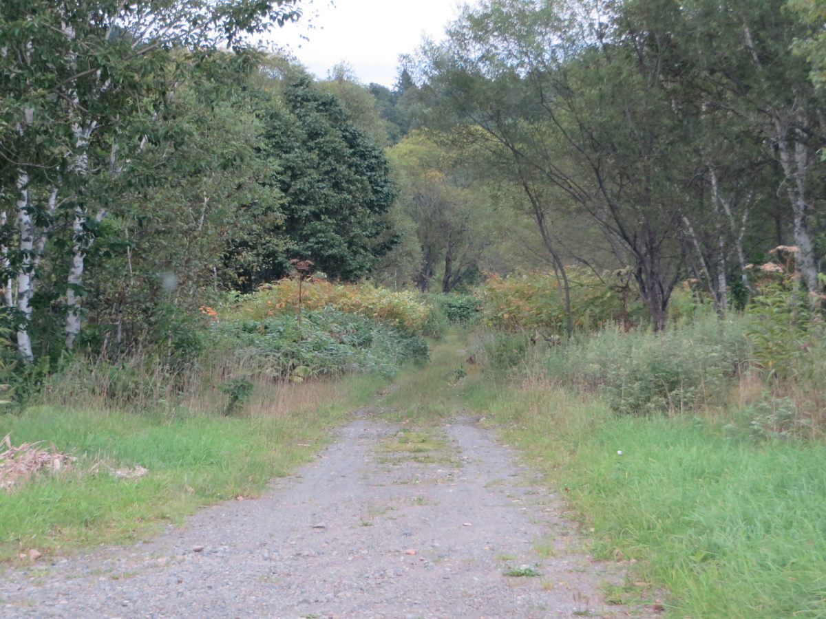 f:id:Sakasegawa3019:20191011070609j:plain f:id:Sakasegawa3019:20191011070609j:plain