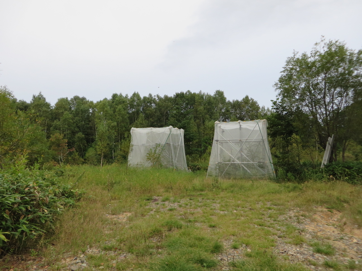 f:id:Sakasegawa3019:20191011072006j:plain f:id:Sakasegawa3019:20191011072006j:plain