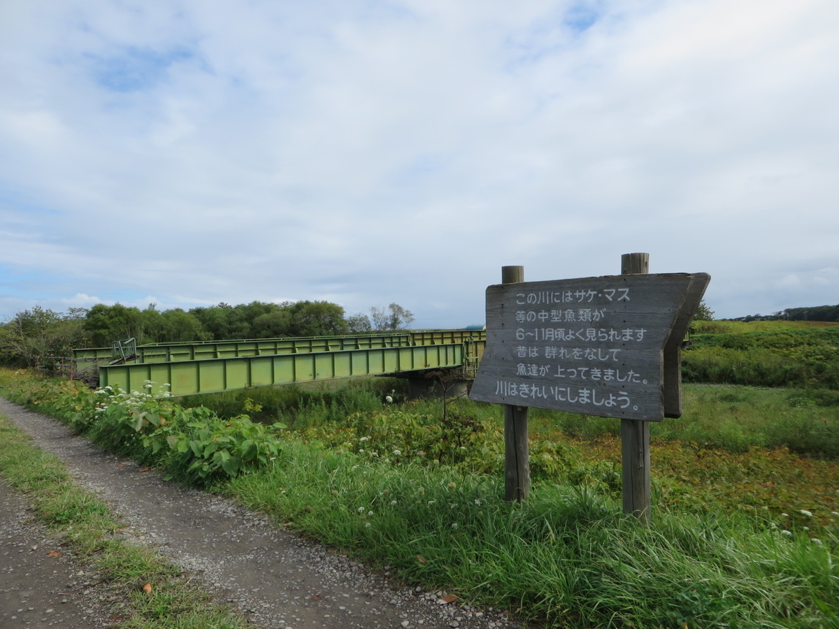 f:id:Sakasegawa3019:20191012081941j:plain