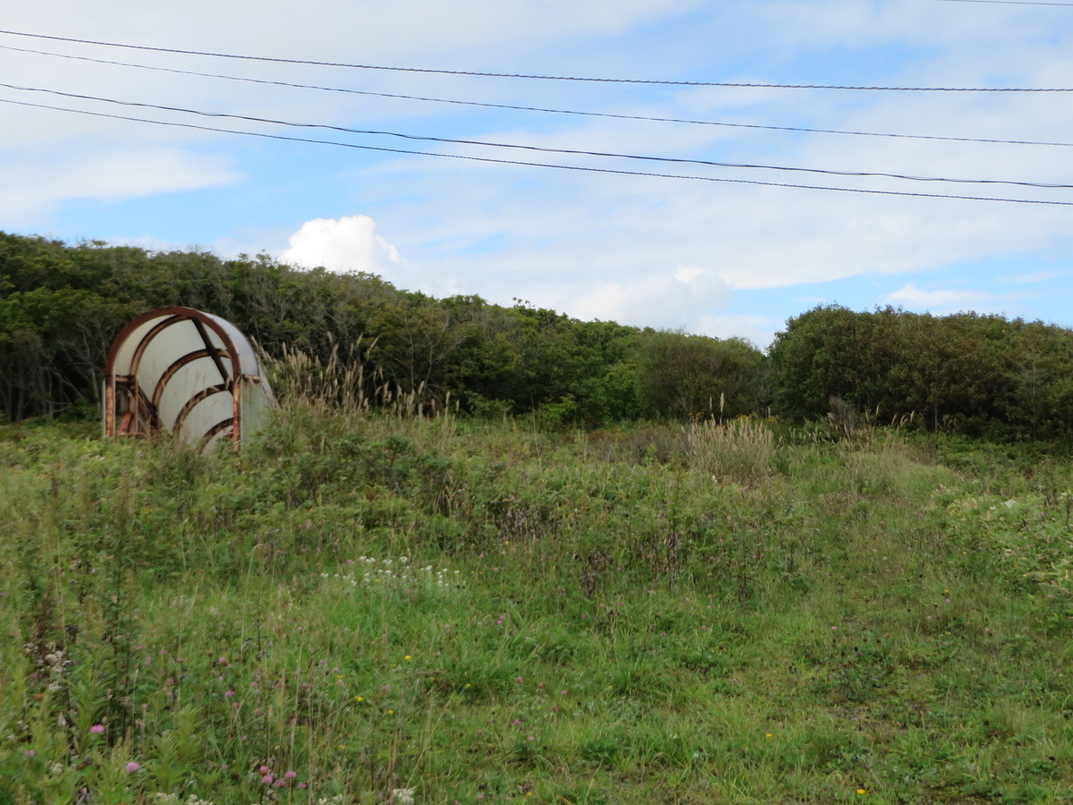 f:id:Sakasegawa3019:20191012082556j:plain