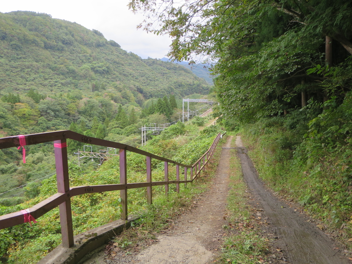 f:id:Sakasegawa3019:20201028055459j:plain