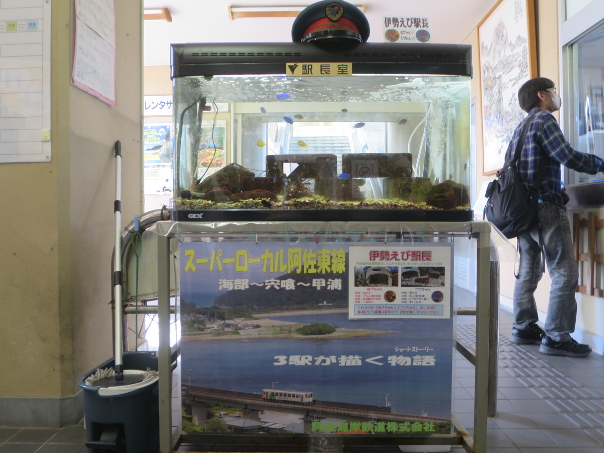 f:id:Sakasegawa3019:20201125062214j:plain