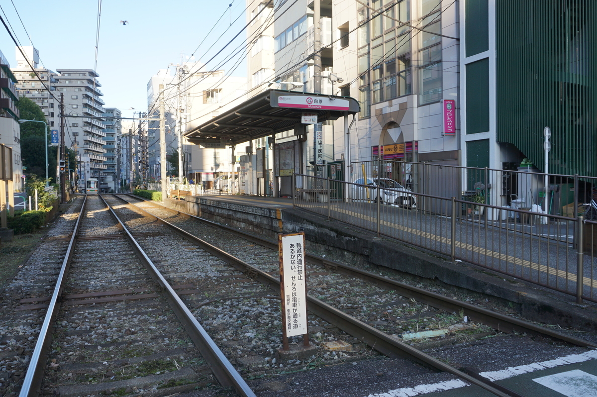 f:id:Sakasegawa3019:20211101110508j:plain