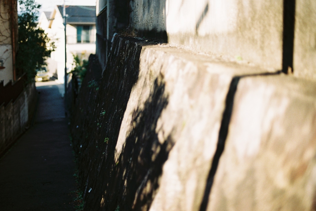 f:id:Saki_amnos:20201207114021j:plain