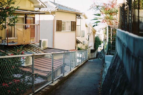 f:id:Saki_amnos:20201207114100j:plain