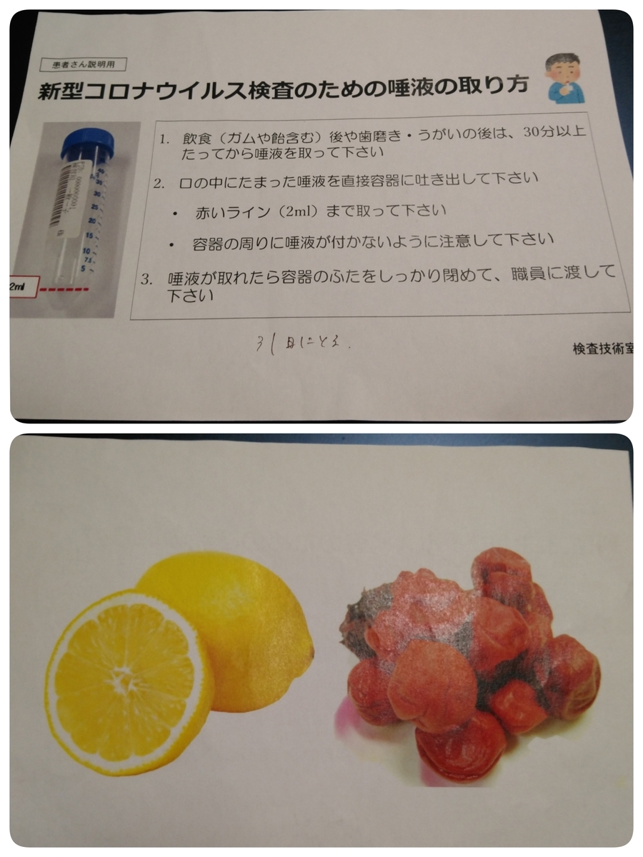f:id:Sakura13-25:20210523130748j:plain