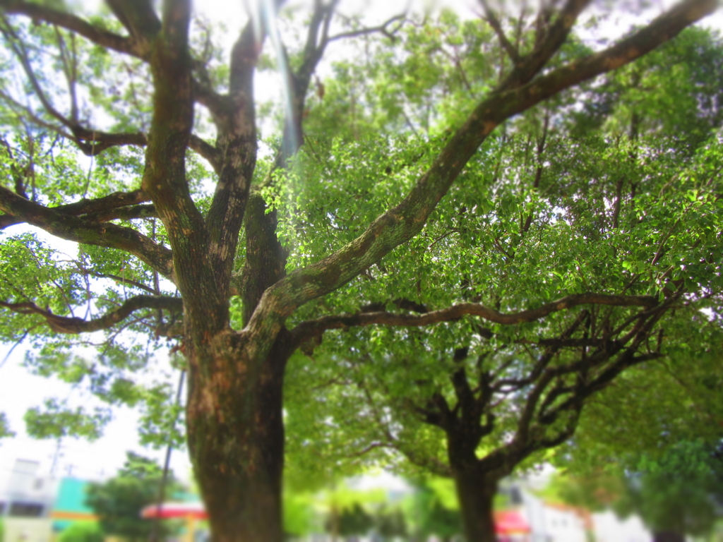 f:id:Sakurachannel0530:20160823203720j:plain f:id:Sakurachannel0530:20160823203720j:plain