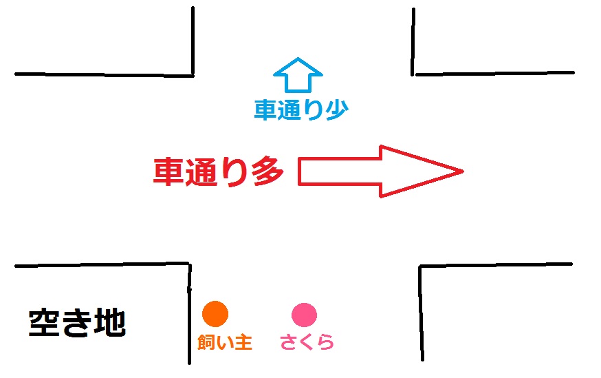 f:id:Sakurachannel0530:20160913204856j:plain f:id:Sakurachannel0530:20160913204856j:plain