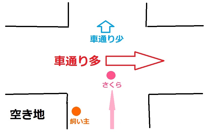 f:id:Sakurachannel0530:20160913211525j:plain f:id:Sakurachannel0530:20160913211525j:plain