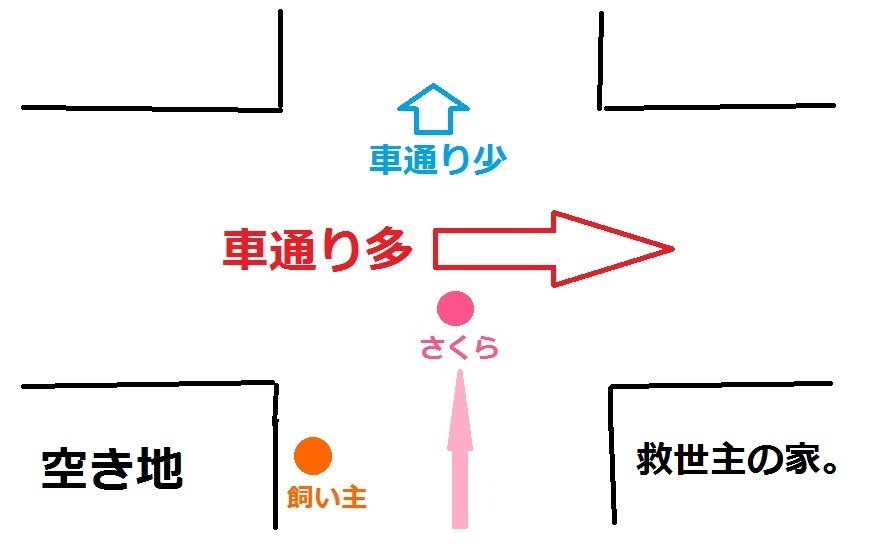 f:id:Sakurachannel0530:20160913214908j:plain f:id:Sakurachannel0530:20160913214908j:plain