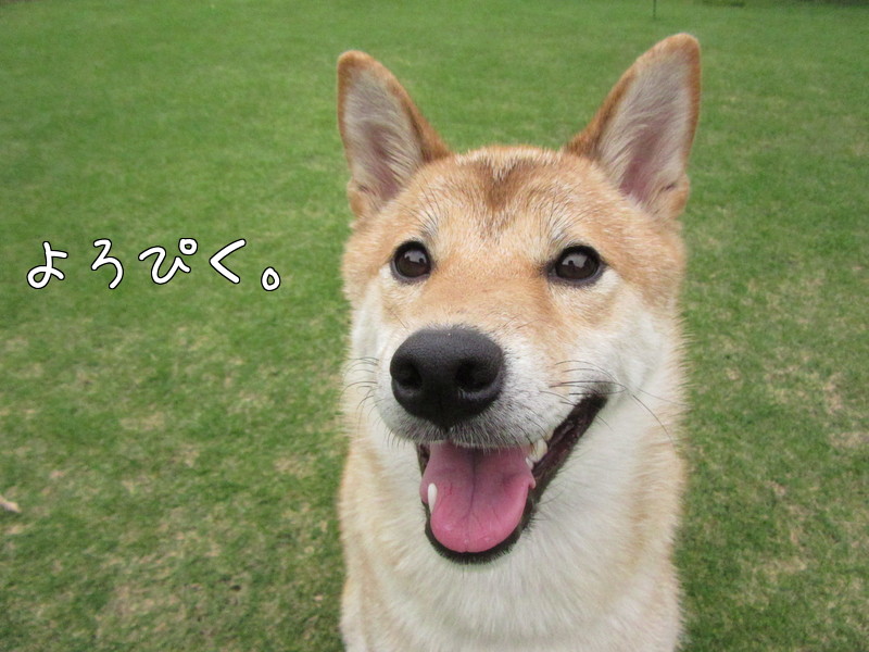 f:id:Sakurachannel0530:20160914213257j:plain f:id:Sakurachannel0530:20160914213257j:plain