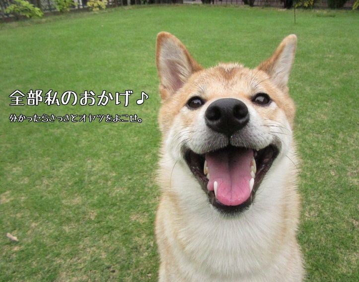 f:id:Sakurachannel0530:20160915210923j:plain f:id:Sakurachannel0530:20160915210923j:plain