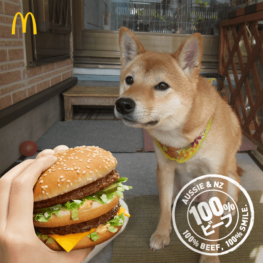 f:id:Sakurachannel0530:20161206205129p:plain f:id:Sakurachannel0530:20161206205129p:plain