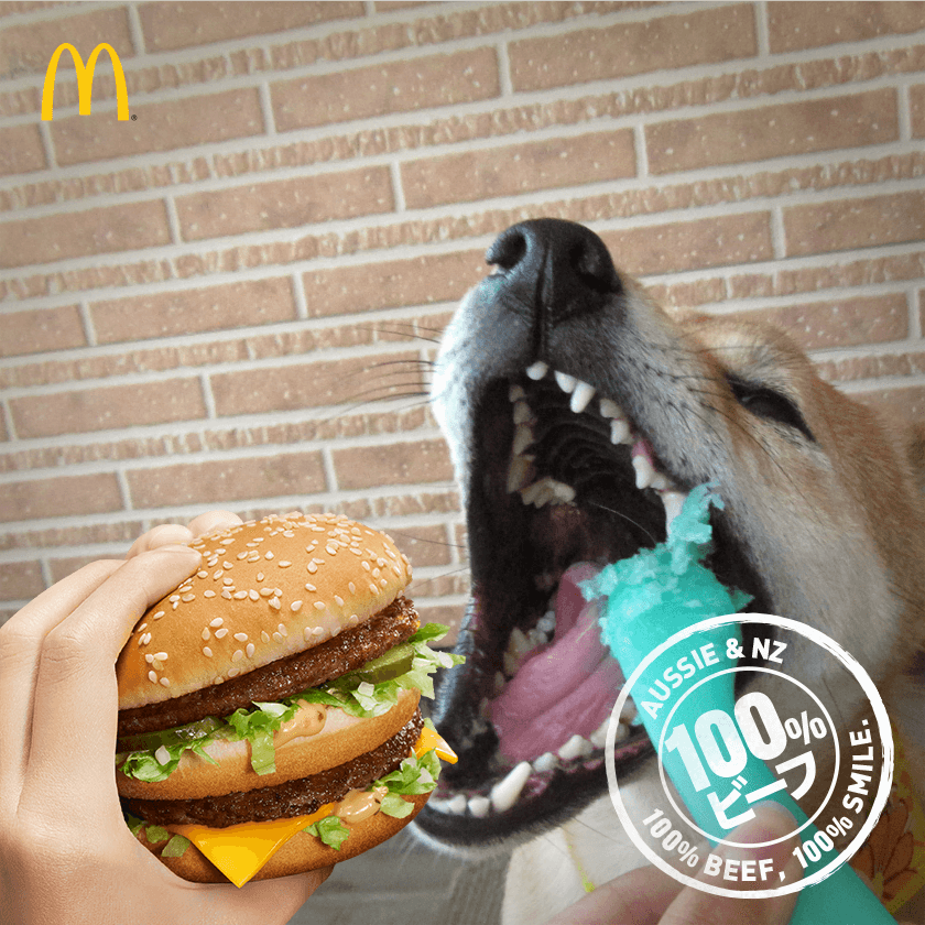 f:id:Sakurachannel0530:20161206205720p:plain f:id:Sakurachannel0530:20161206205720p:plain