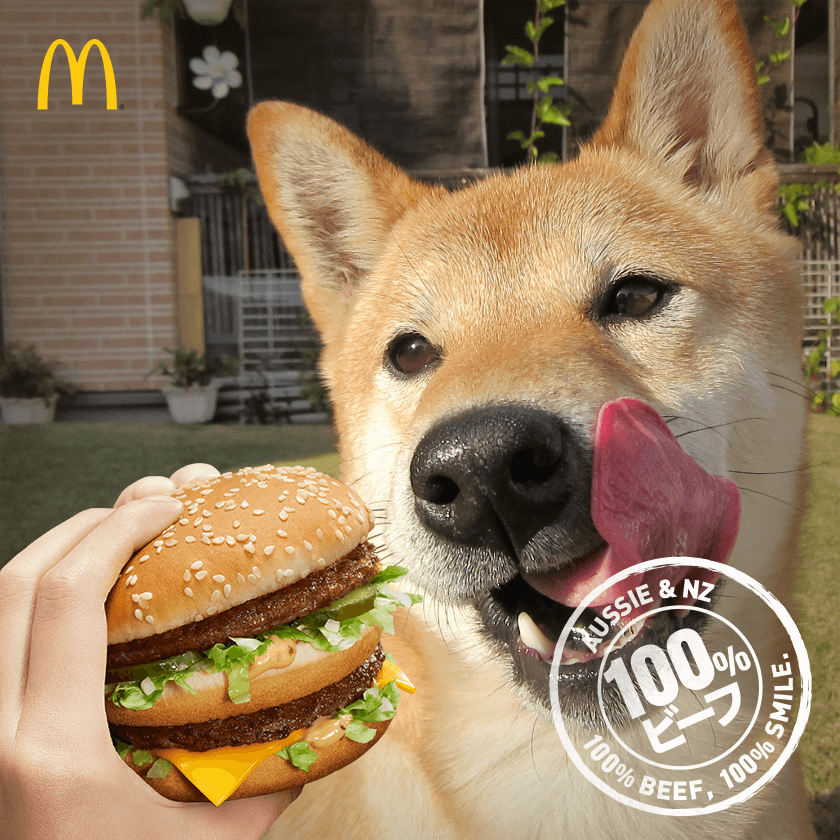 f:id:Sakurachannel0530:20161206210334p:plain f:id:Sakurachannel0530:20161206210334p:plain