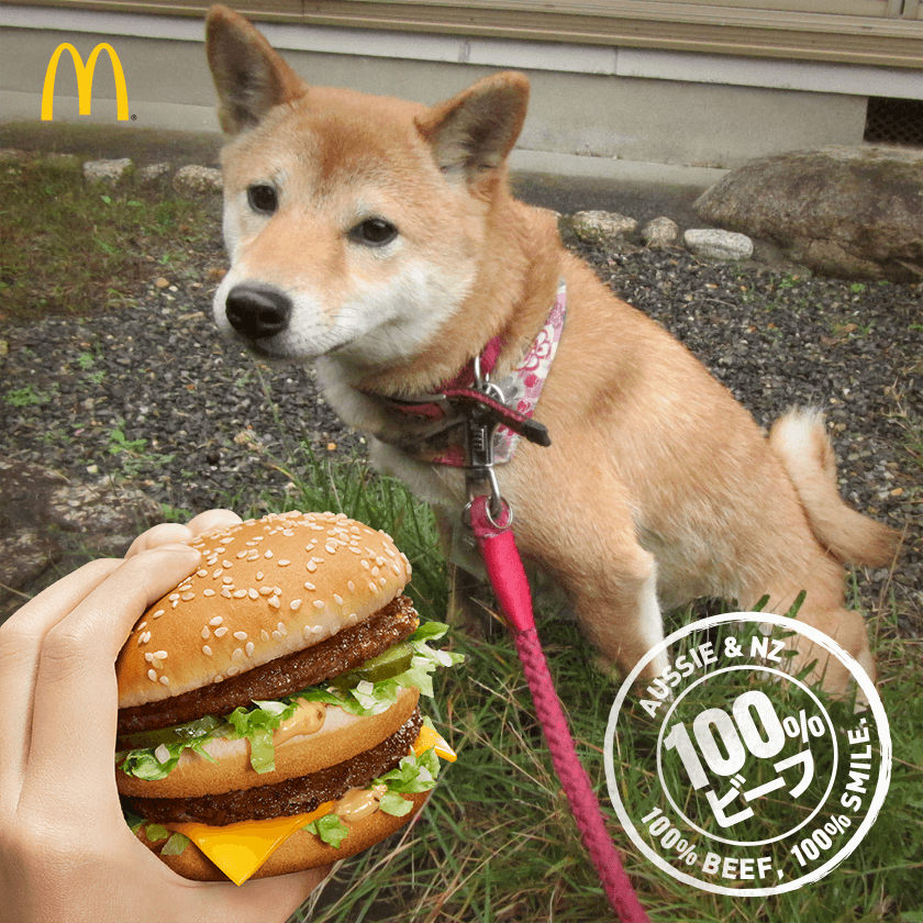 f:id:Sakurachannel0530:20161206210339p:plain f:id:Sakurachannel0530:20161206210339p:plain