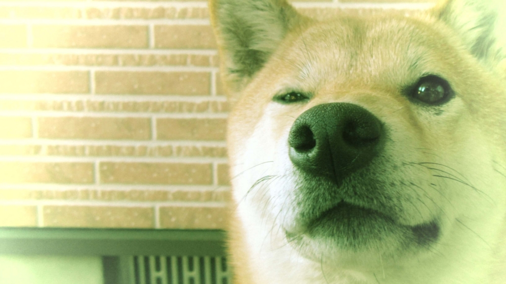 f:id:Sakurachannel0530:20170101205714j:plain