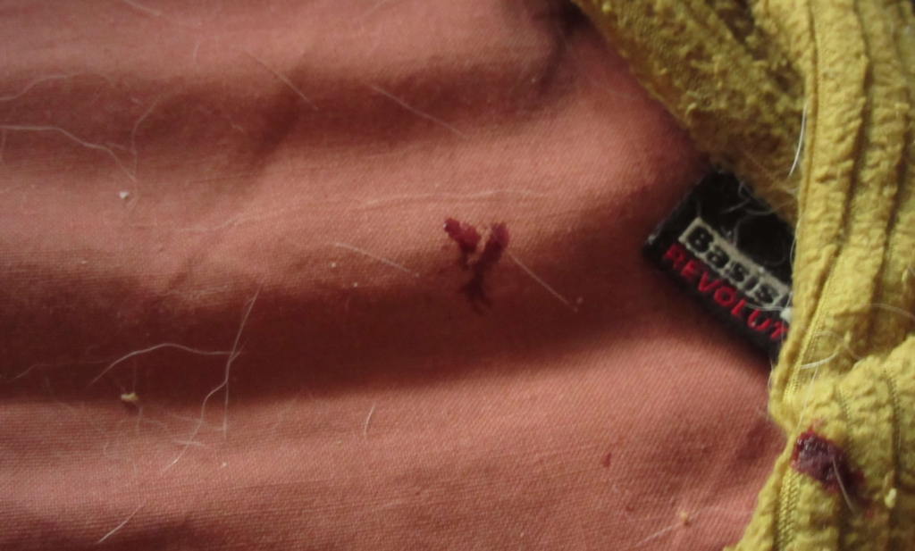 f:id:Sakurachannel0530:20170224171958j:plain f:id:Sakurachannel0530:20170224171958j:plain