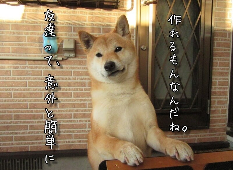 f:id:Sakurachannel0530:20170224172132j:plain f:id:Sakurachannel0530:20170224172132j:plain