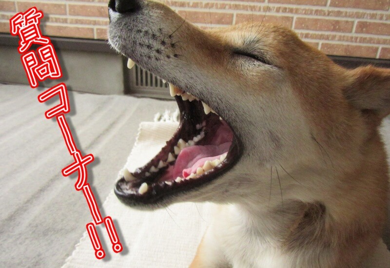 f:id:Sakurachannel0530:20170624202723j:plain