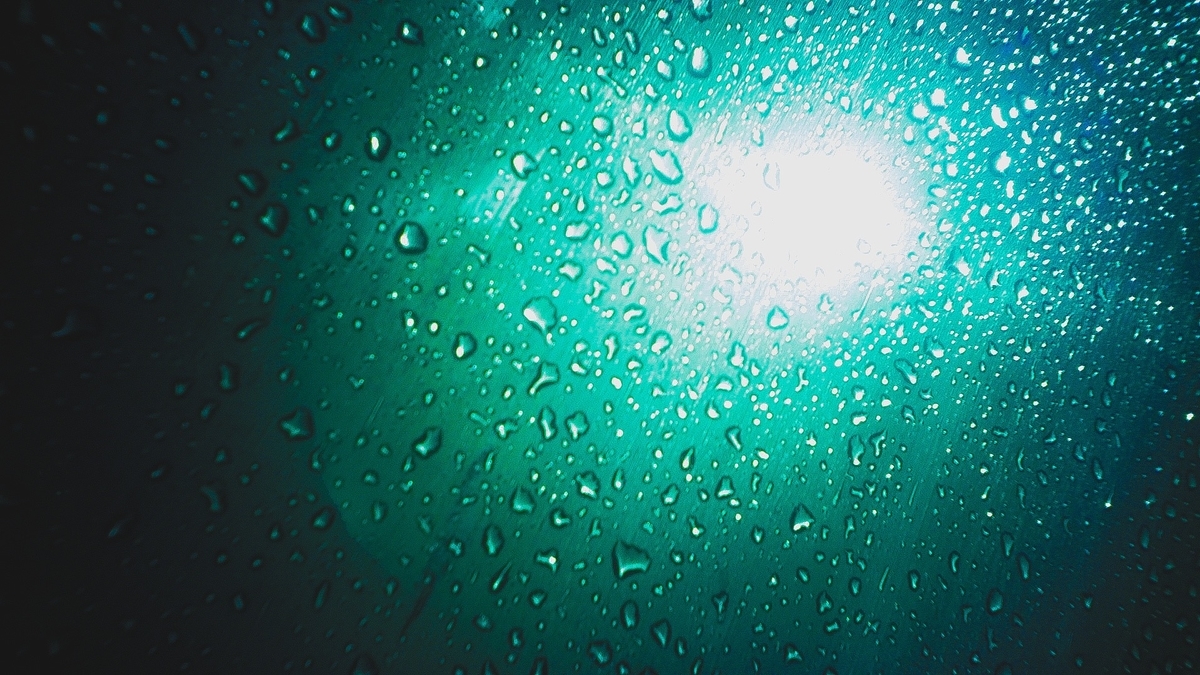 雨の日って気分落ちやすいけど綺麗なものあったわ 自分磨き 今日僕は彼女にフラれた