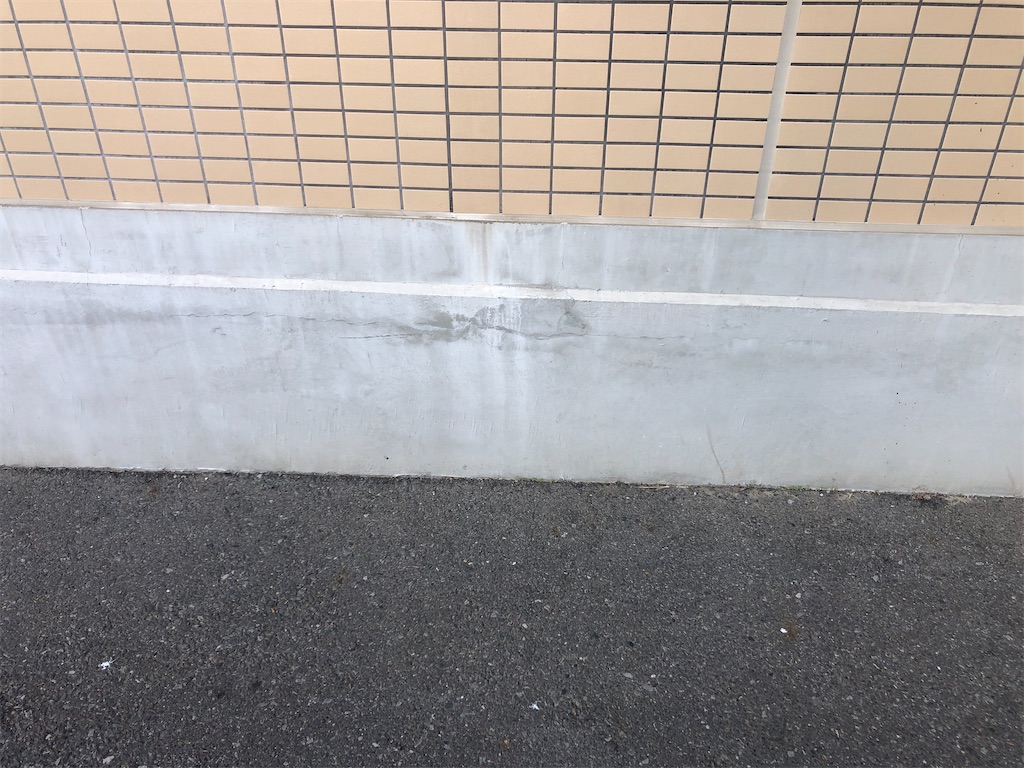 f:id:Sakuraki4530:20210206173448j:image