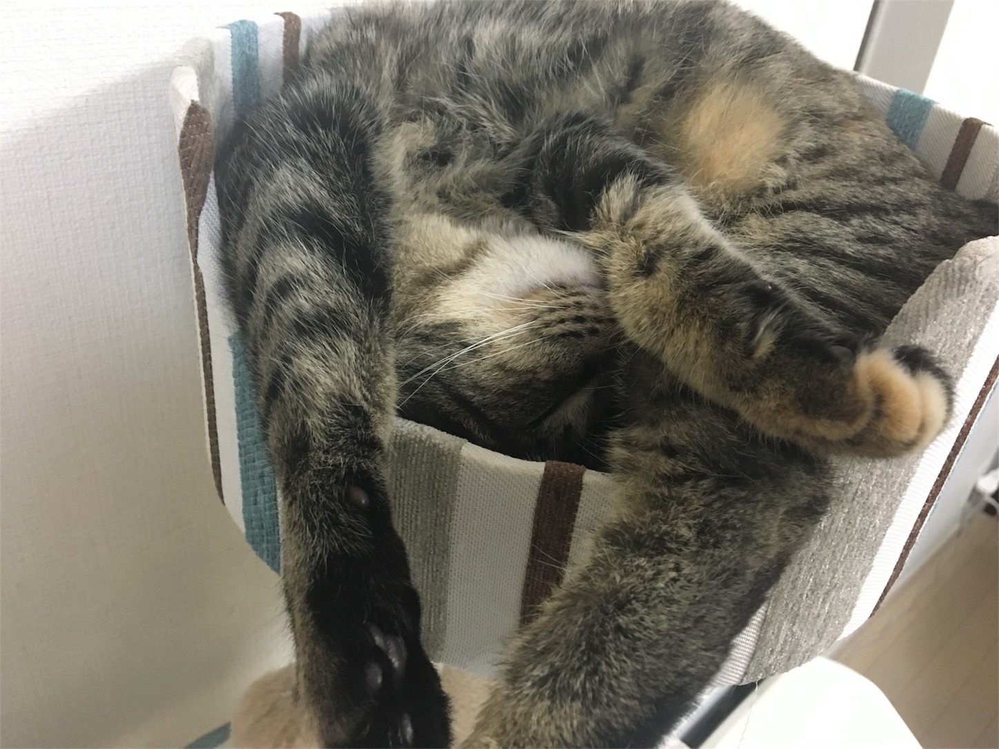 f:id:Sakuranbox:20190922123351j:image