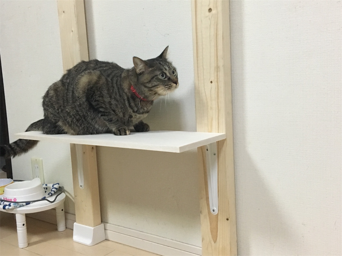 f:id:Sakuranbox:20190923100858j:image