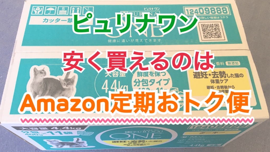 f:id:Sakuranbox:20210322214809j:plain