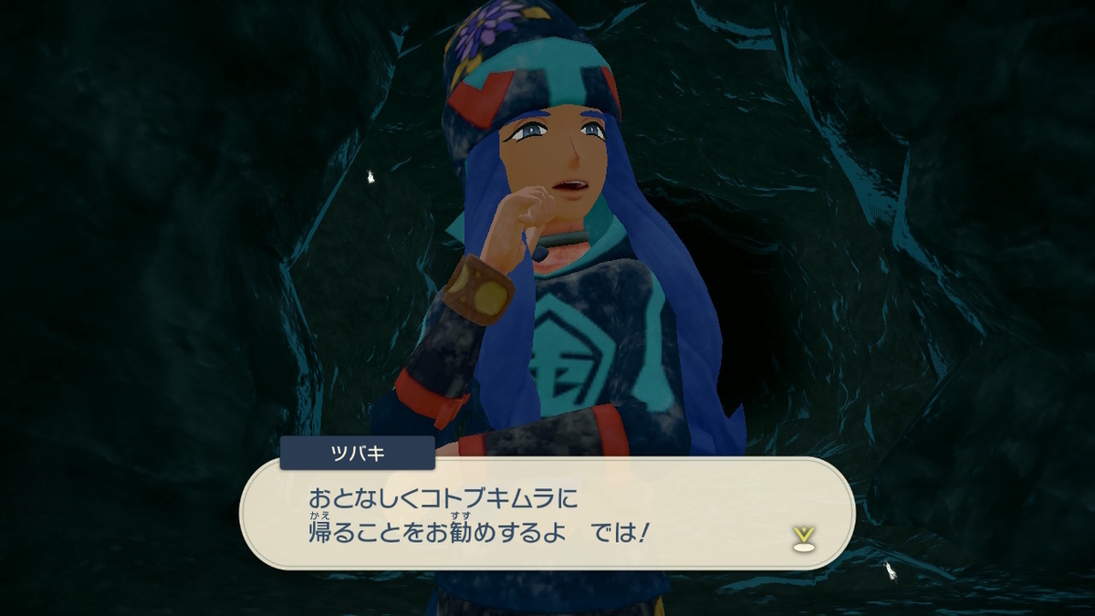 f:id:Salamence63:20220322104555j:plain