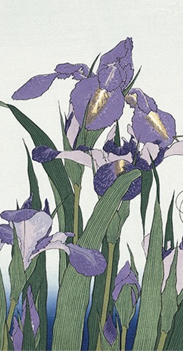 f:id:Salicylic_acid3:20190520024630j:plain f:id:Salicylic_acid3:20190520024630j:plain