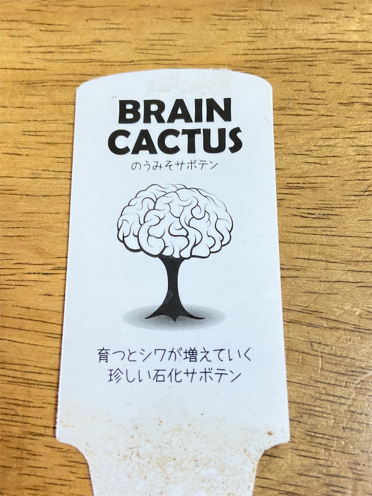 f:id:Sally39:20210622171954j:image f:id:Sally39:20210622171954j:image