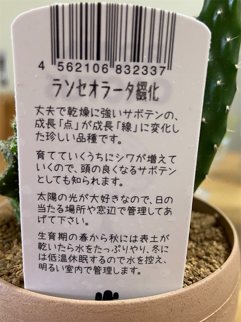 f:id:Sally39:20210622171957j:image f:id:Sally39:20210622171957j:image