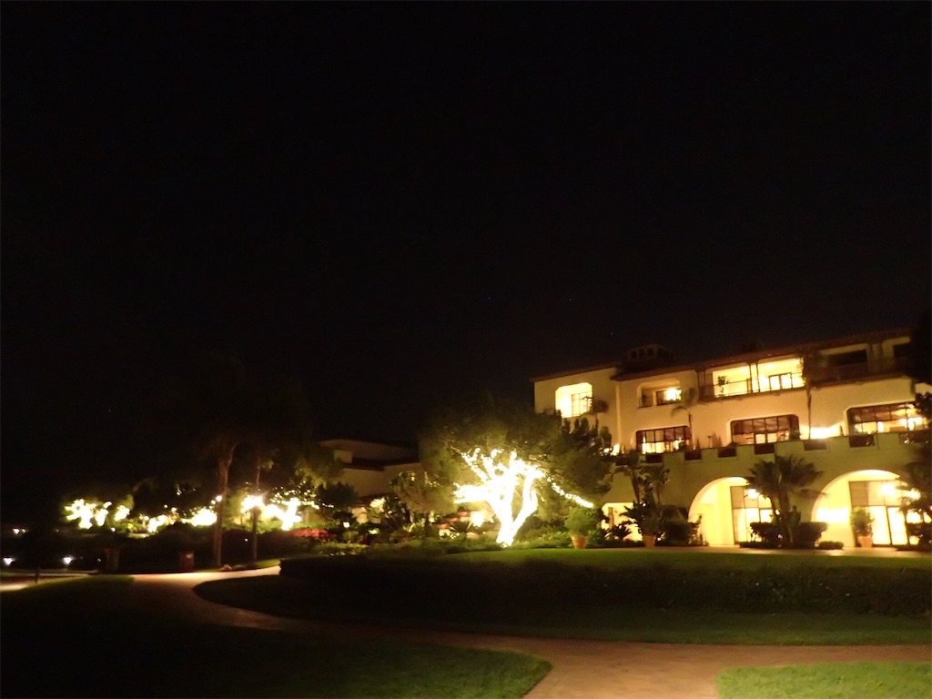 f:id:Samantha_TOKYO:20180325065206j:image